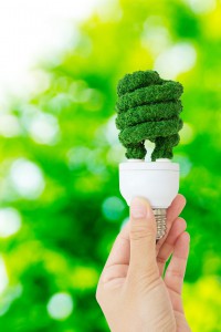 eco-energy-concept